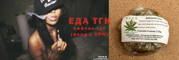 прущие грибы Алзамай