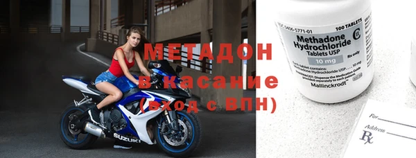 прущие грибы Алзамай