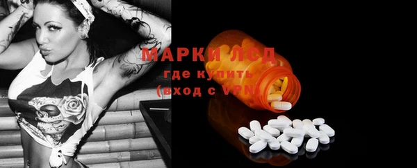 прущие грибы Алзамай