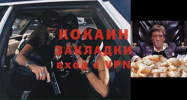 прущие грибы Алзамай