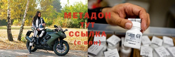 прущие грибы Алзамай