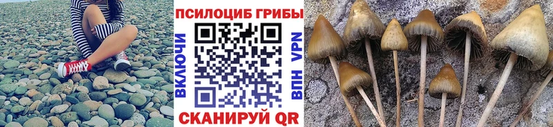 Псилоцибиновые грибы прущие грибы  закладка  Микунь 